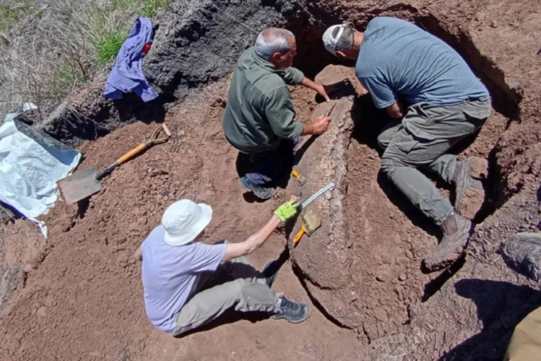 Se autorizan excavaciones arqueológicas en seis departamentos de Entre Ríos Se autorizan excavaciones arqueológicas en seis departamentos de Entre Ríos
