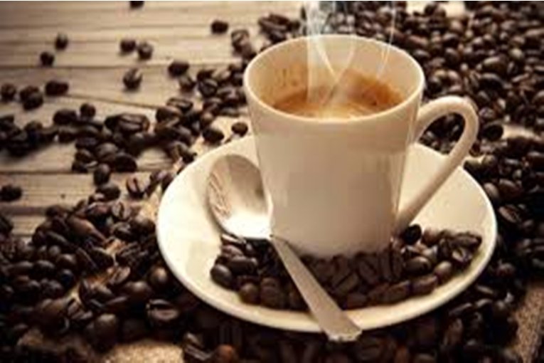 Concordia se prepara para el segundo Encuentro Cafetero: ¡no te lo pierdas! Concordia se prepara para el segundo Encuentro Cafetero: ¡no te lo pierdas!
